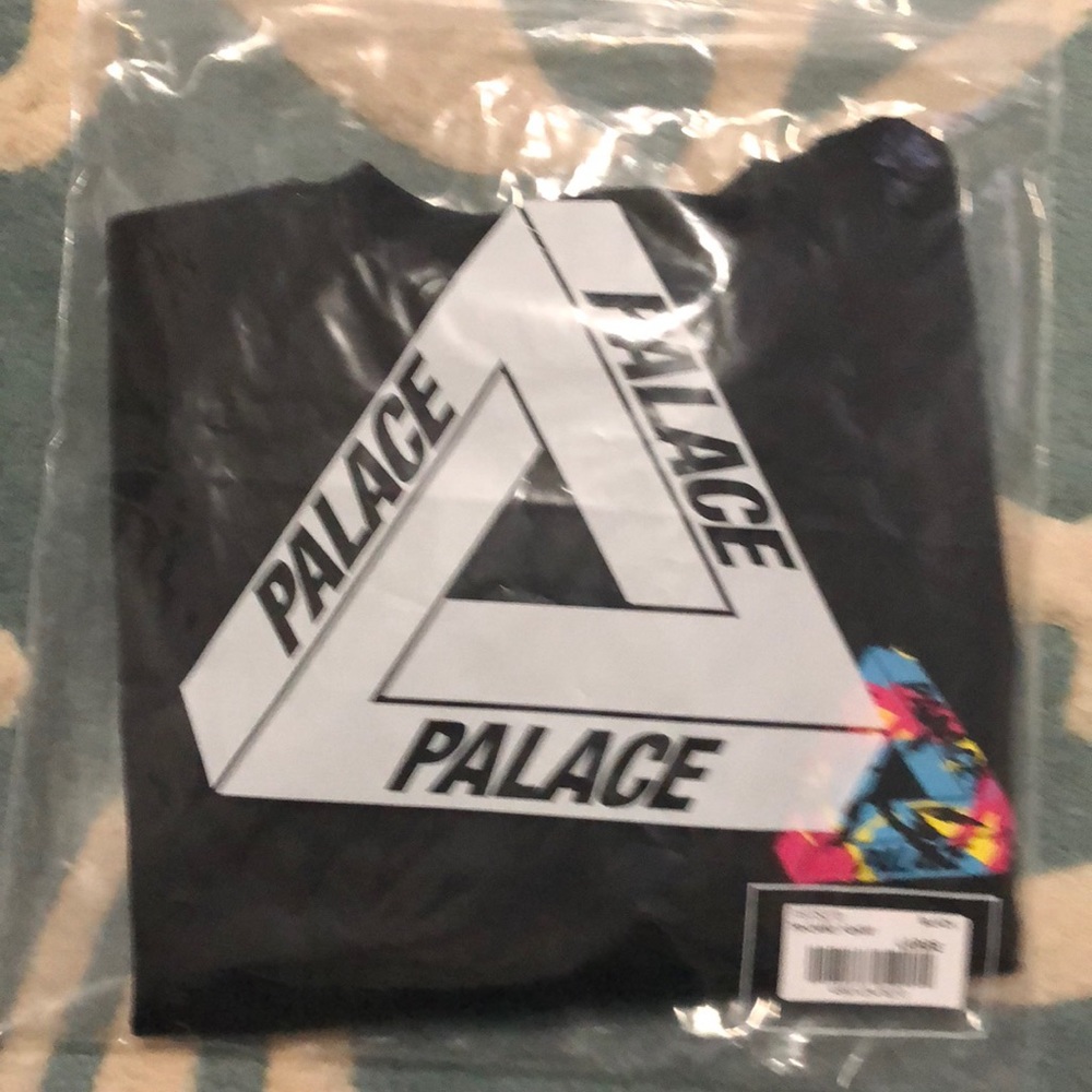 PALACE - Picture 6 of 7